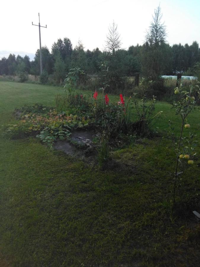 Noclegi Przy Kominku Miedzyles  Esterno foto