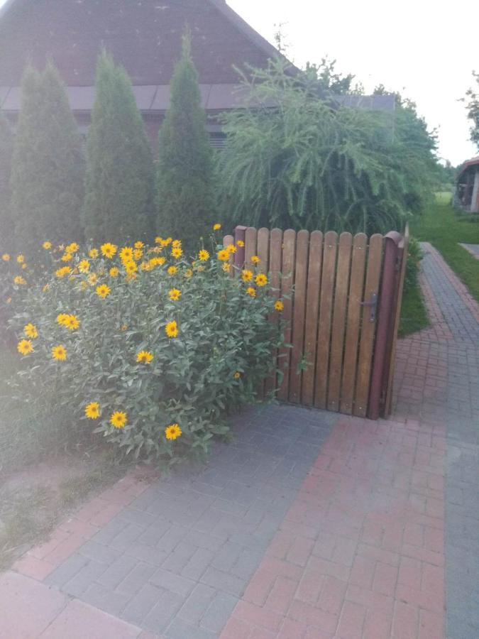 Noclegi Przy Kominku Miedzyles  Esterno foto